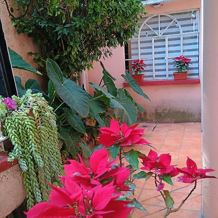 Apartament Relax Meksyk Zewnętrze zdjęcie